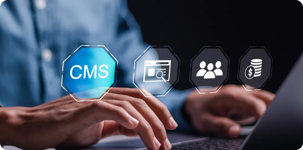 We Deliver CMS Excellence