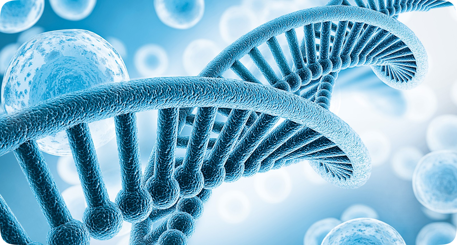 Healthcare & Life Sciences