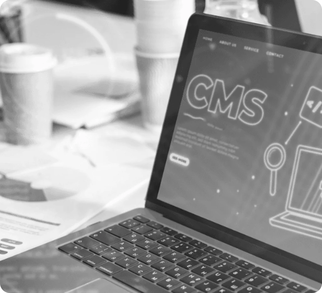 Professional CMS Solutions