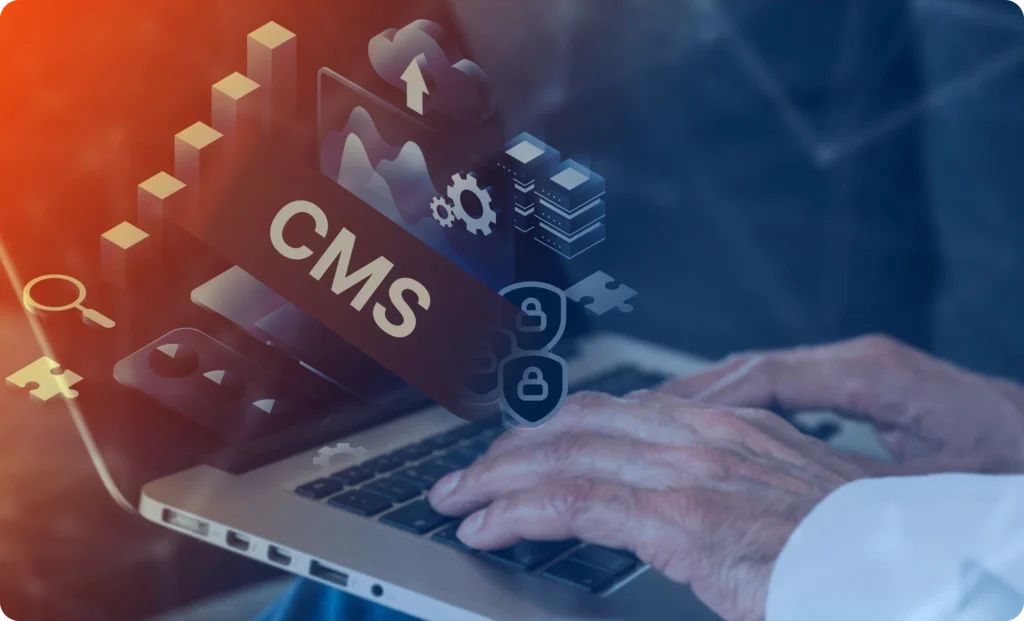 CMS Plugin Development