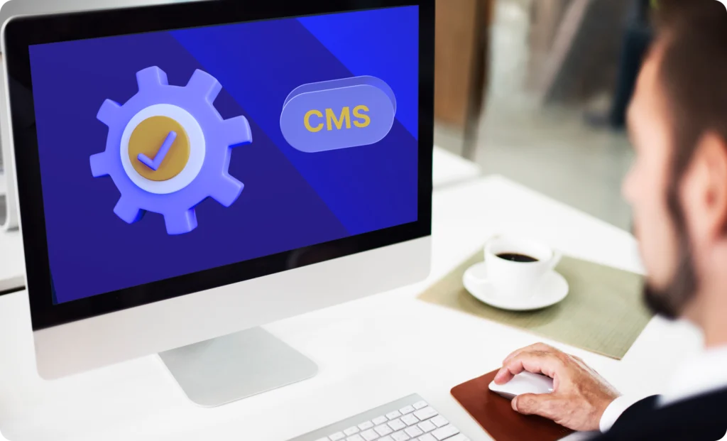 CMS Support & Maintenance